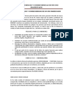INTERNET RIESGOS.pdf