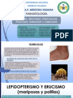 Acarosis, Erucismo, Pediculosis, Pulicosis, Tungiosis y Cimicosis - Sem 6