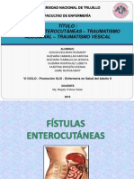 PPT CIRUGÍA FISTULAS Y TRAUMAS.pptx