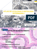 citologia-histologia-veterinaria-i.pdf