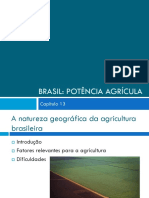 Brasil Potencia Agrícola