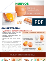 Huevos y Su Conservación