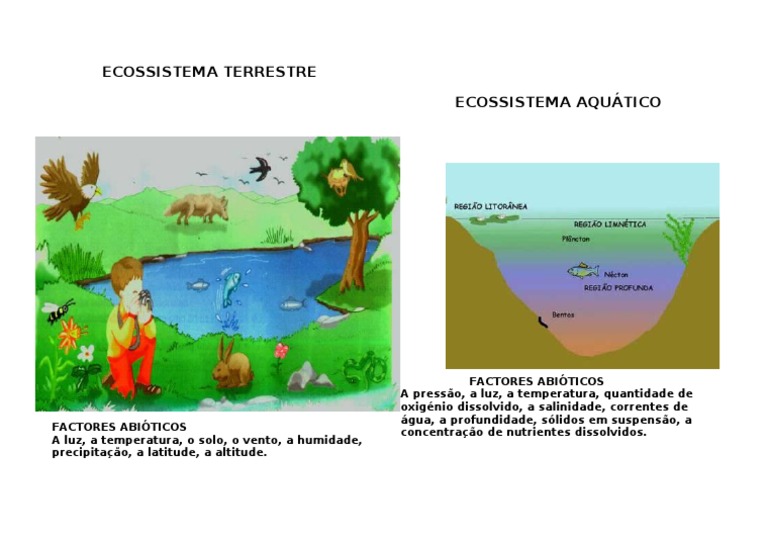 Fatores Abióticos em Ecossistemas Terrestres e Aquáticos | PDF ...