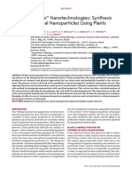 Green" Nanotechnologies - Synthesis of Metal Nanoparticles Using Plants