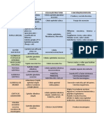 Practico Resumen histologia