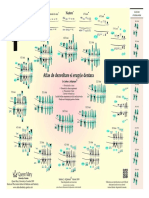 Atlas of Tooth Development PDF