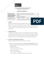 TDR - Elaboracion EBI Puente No Evaluado Ancash Lima