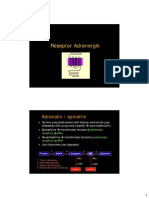 adrenergic-dopamine-receptor.pdf