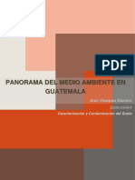 Panorama del medio ambiente en Guatemala: problemas, causas y soluciones