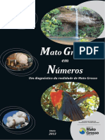 Mato Grosso em números 2013