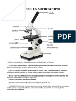 Partes de Un Microscopio