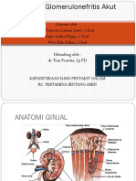 Referat Glomerulonefritis Akut Dr. Toni