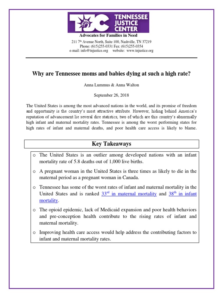Infant and Maternal Mortality Policy Brief | PDF | Infant Mortality ...