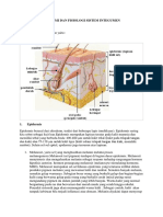 Anatomi Dan Fisiologi Sistem Integumen