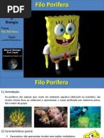 Aula Poriferos
