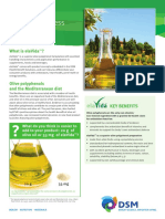 ElaVida Leaflet