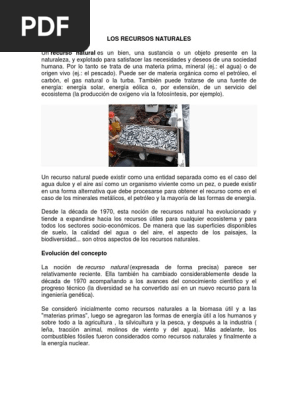 Recursos Naturales Destruccion Del Habitat Los Bosques
