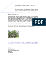 Herbicida de Fique Unodc BCP 2011 (1) .