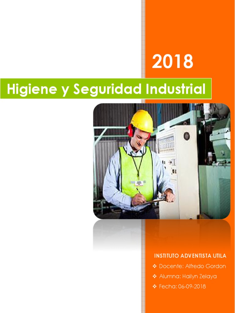 Informe de Sistema de Higiene y Seguridad Industrial | PDF | Seguridad ...