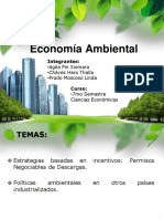 Economía Ambiental - Exposicion