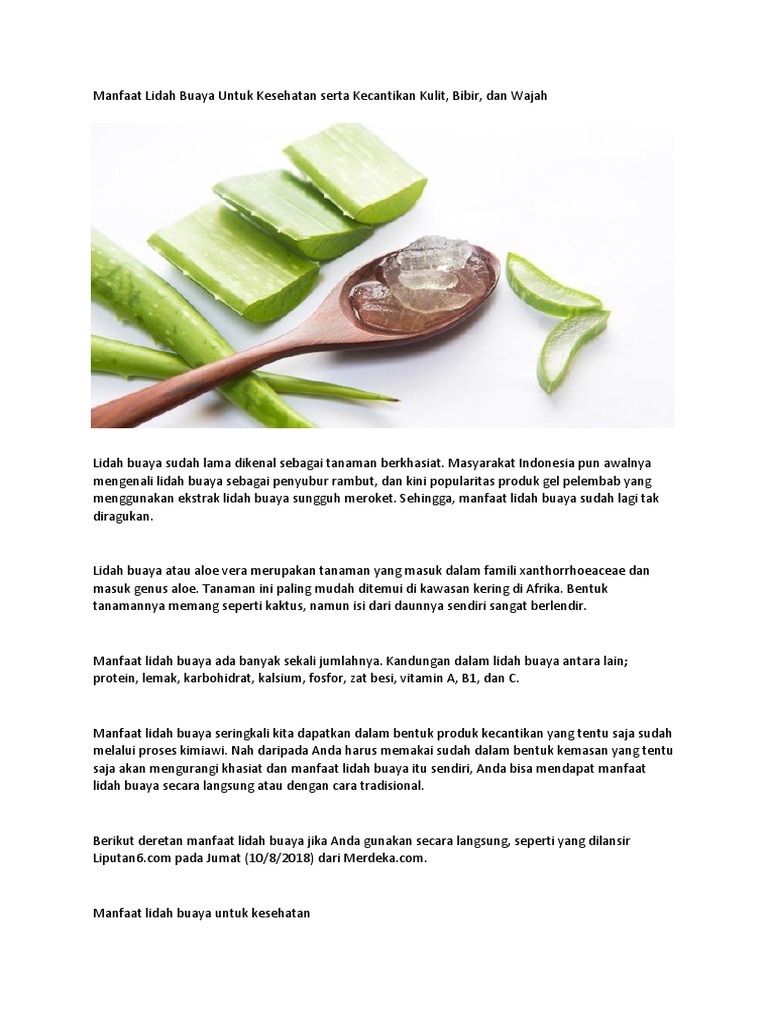 Manfaat Aloe Vera Untuk Bibir