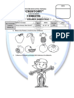 Examen de Ciencia y Tecnologia