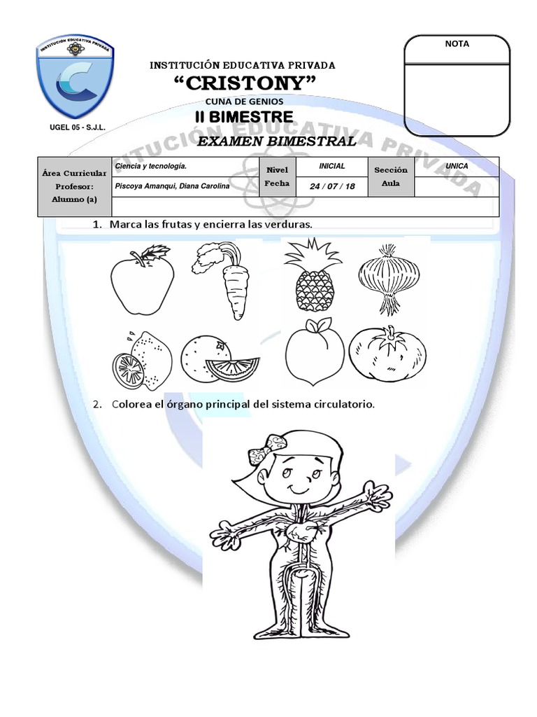 Examen Bimestral de Ciencia y Tecnología | PDF