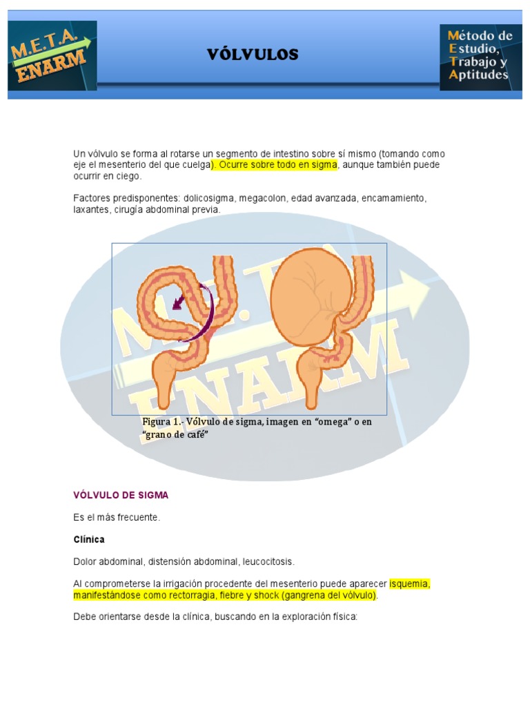 Volvulos | PDF | Abdomen | Medicina CLINICA