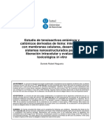 DRN_TESIS.pdf