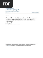 BeyondTheoreticalOrientations.pdf