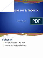 Asam Nukleat Protein