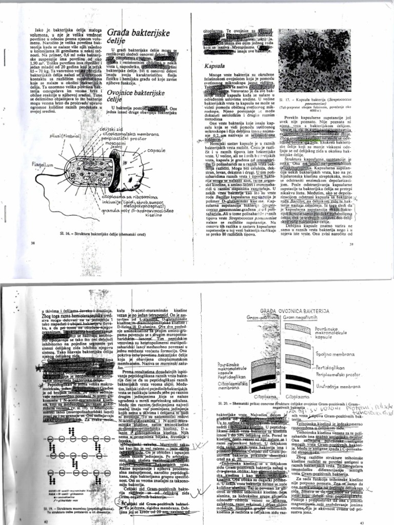 Antibiotici Karakasevic | PDF