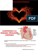 TEMA 12, Circulacion Coronaria