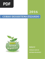 Curso Dessistematizando - AULA 2