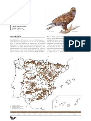 MARM Ficha Técnica Del Aguila Real | PDF | España | Península Ibérica