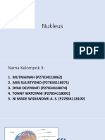 NUKLEUSSEO