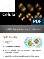 Aula 3 - Citologia (Ciclo Celular)