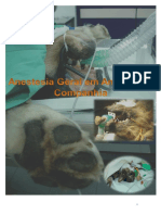 EBook - Anestesia Geral em Animais de Companhia.pdf