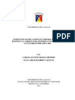 Consecuencias Del Conflicto Armado PDF