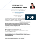 Curriculum Vitae: Susana Del Pilar Liberona Bastias