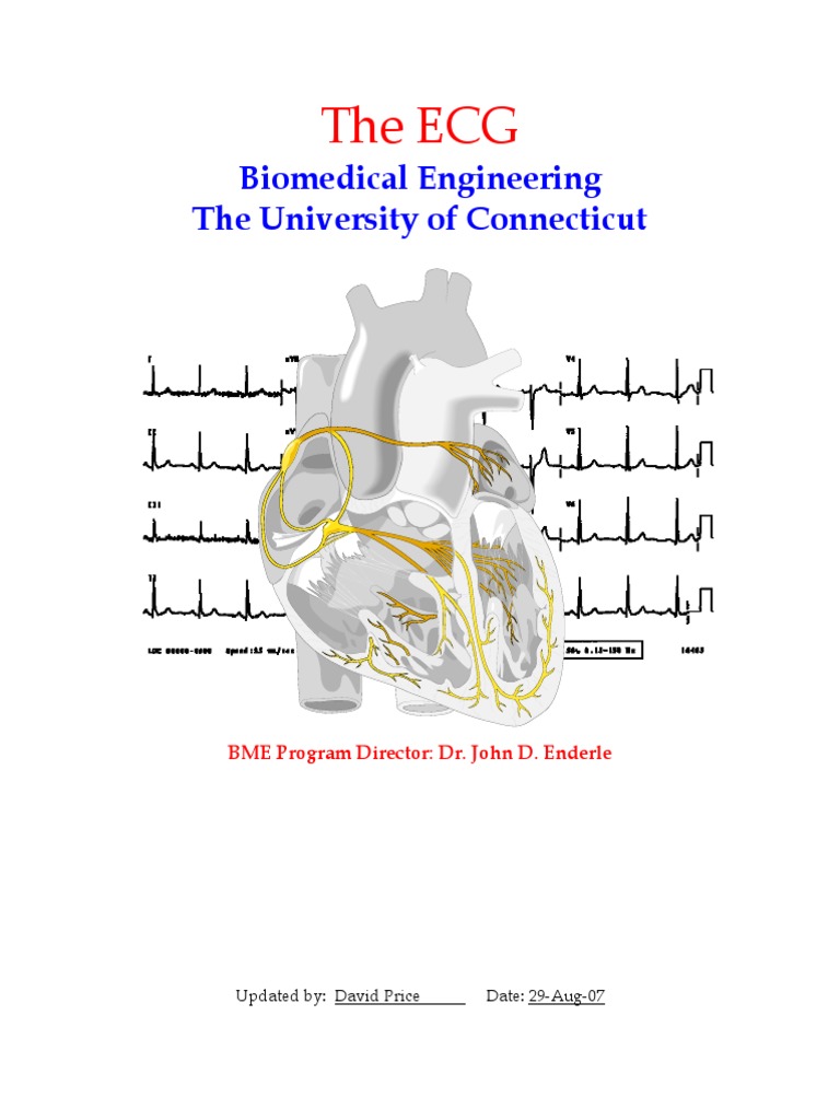 The Ecg: Biomedical Engineering The University of Connecticut | PDF ...