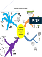 Mapa mental ejercicio