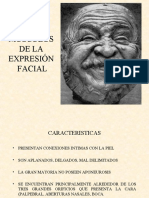 Musculos de La Expresión Facial