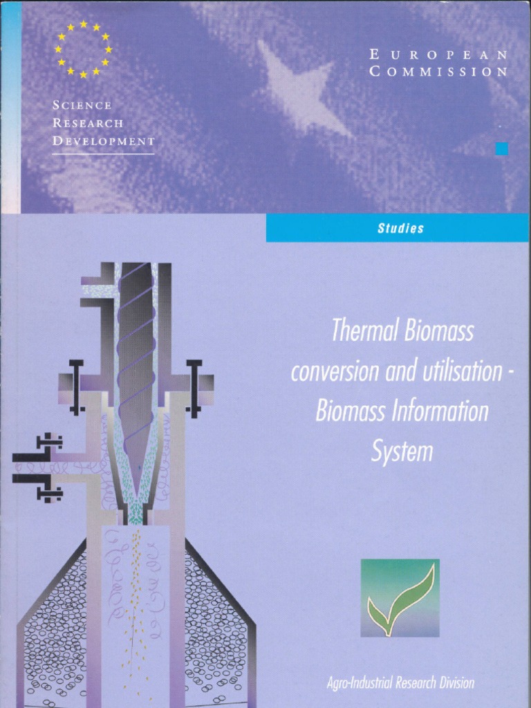 Thermal Biomass Conversion | PDF