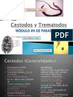 Cestodos y Trematodos