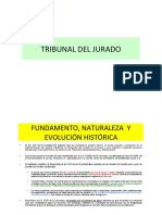 TRIBUNAL DEL JURADO.pdf