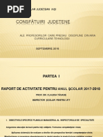 consfaturi  judetene 2018.pptx