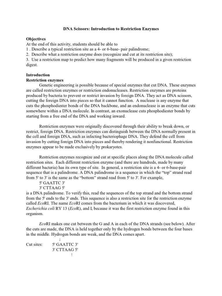 Restriction Enzymes for Students | PDF | Restriction Enzyme | Molecular ...