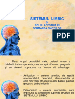 Sistemul Limbic