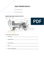 Tugas Telinga Kelas 4